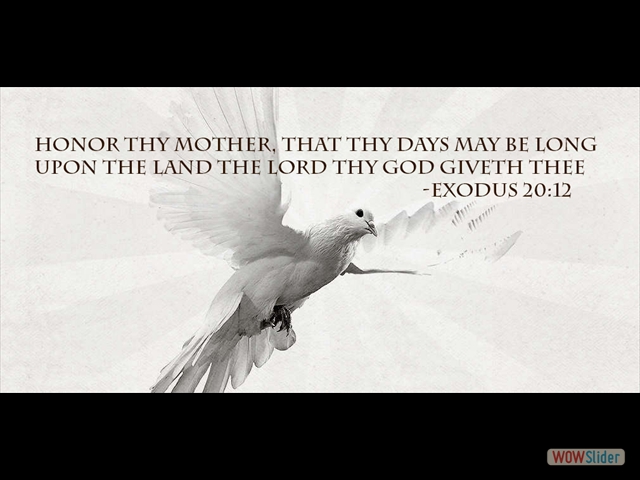 spiritdove